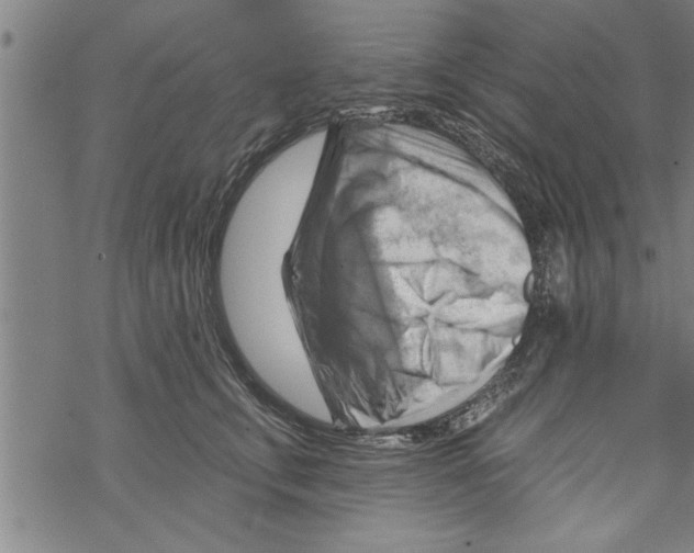 X0000067510711200605051829