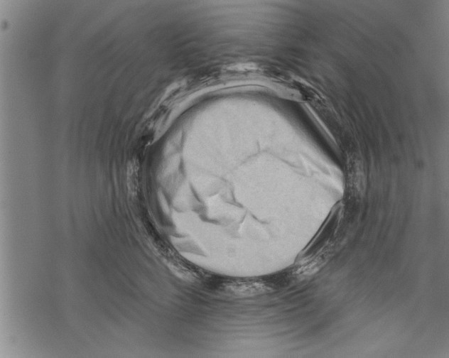 X0000067510712200605051829