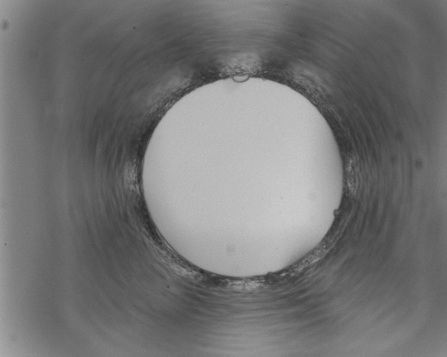 X0000067510714200605051829