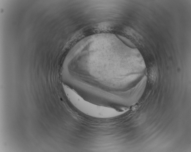 X0000067510715200605051829