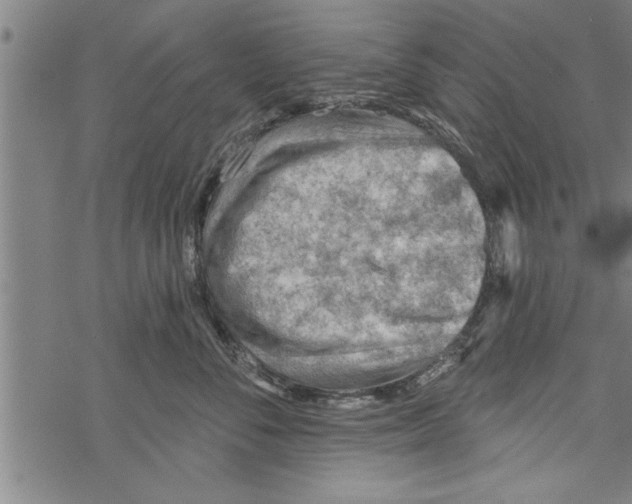 X0000067510716200605051829