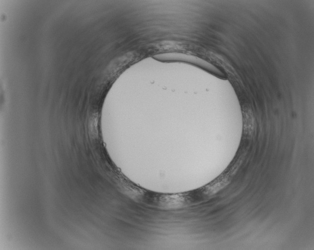 X0000067510717200605051829