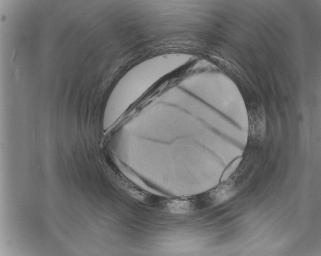 X0000067510718200605051829