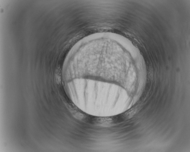 X0000067510719200605051829