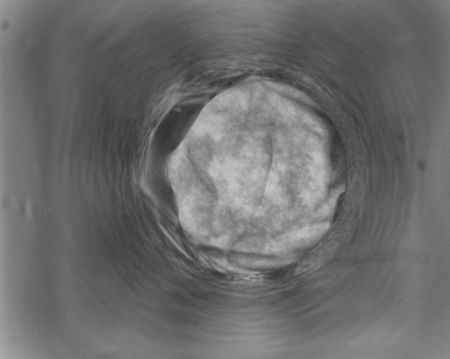 X0000067510720200605051829