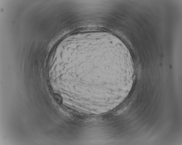 X0000067510721200605051828