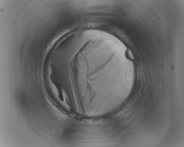 X0000067510722200605051828