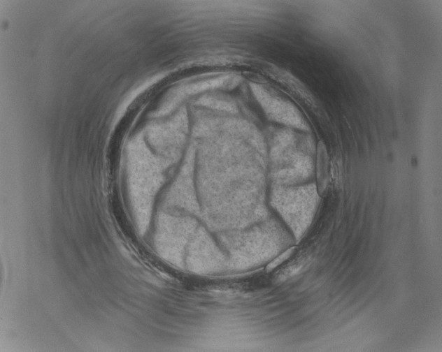 X0000067510724200605051828