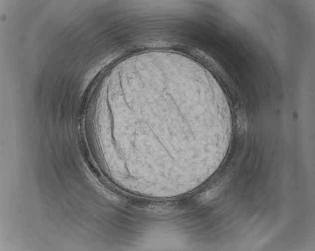 X0000067510725200605051828