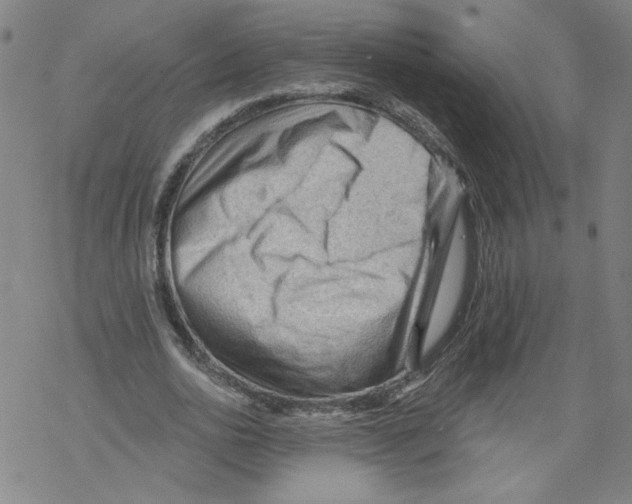 X0000067510726200605051828