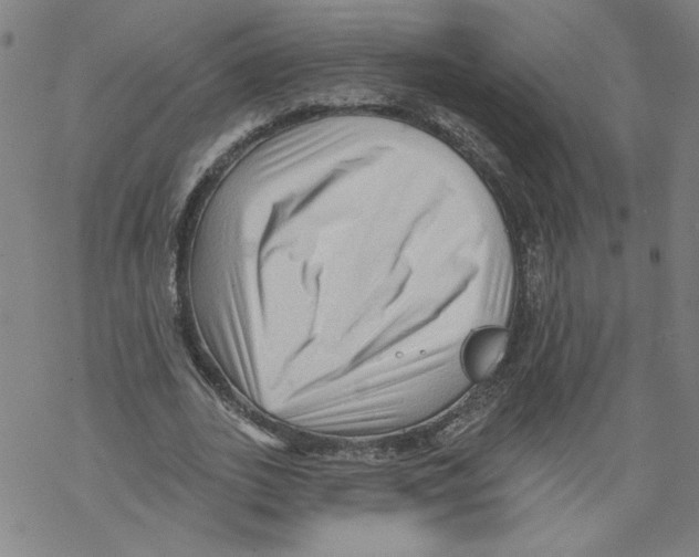 X0000067510727200605051828