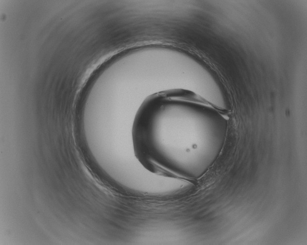 X0000067510728200605051828