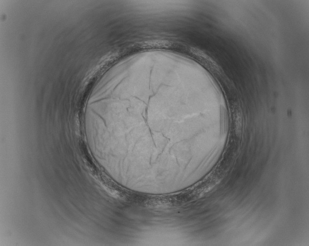 X0000067510729200605051828