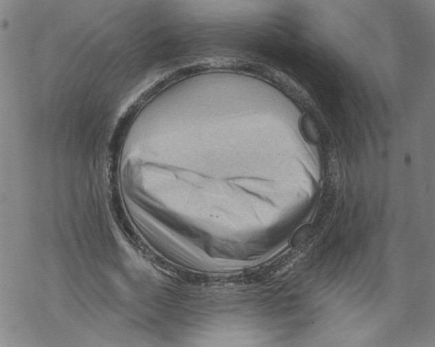 X0000067510730200605051828