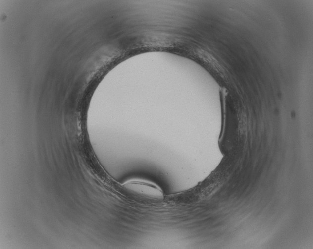 X0000067510731200605051828