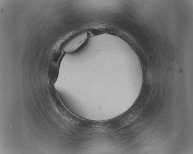 X0000067510732200605051828