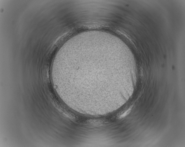 X0000067510733200605051828