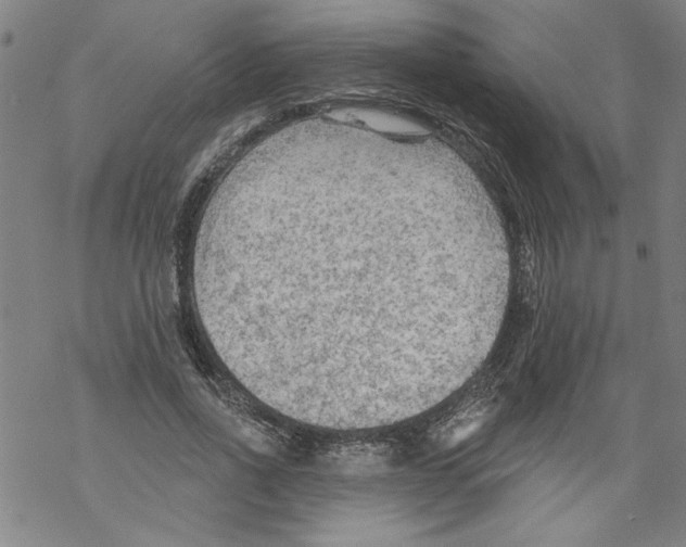 X0000067510734200605051828