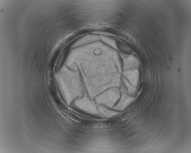 X0000067510736200605051828