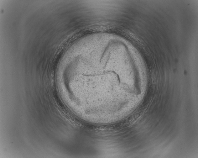 X0000067510737200605051828