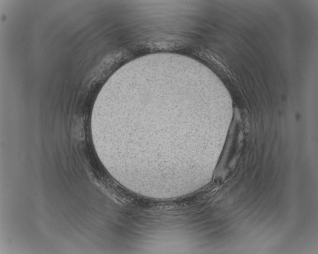 X0000067510738200605051828