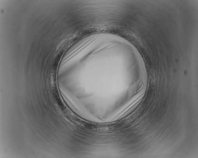 X0000067510740200605051828