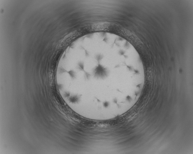 X0000067510741200605051828