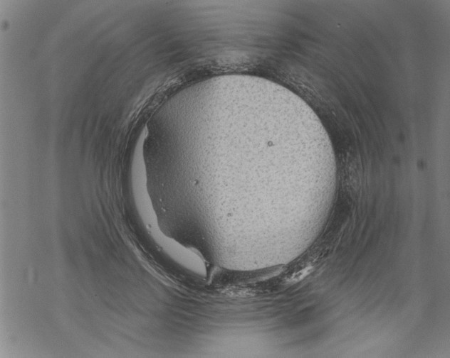 X0000067510742200605051828