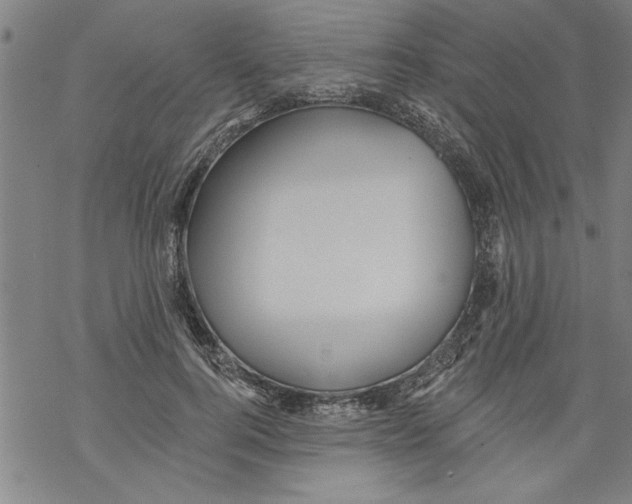 X0000067510744200605051828