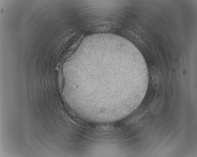 X0000067510745200605051829