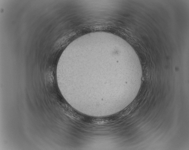 X0000067510746200605051829