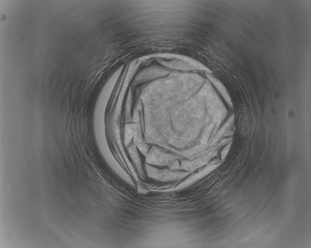 X0000067510747200605051829