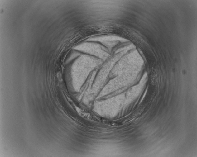 X0000067510748200605051829