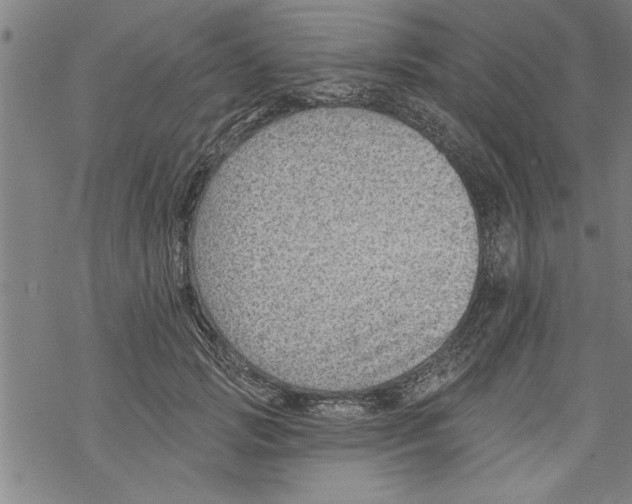 X0000067510749200605051829