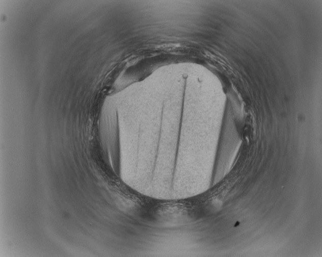 X0000067510750200605051829