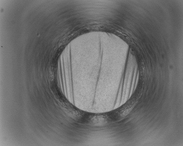 X0000067510751200605051829