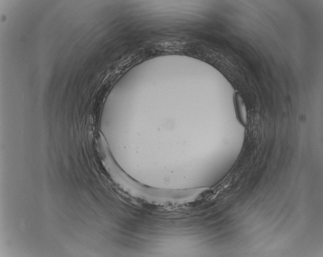 X0000067510752200605051829