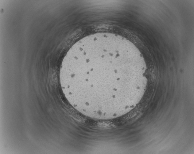 X0000067510753200605051829