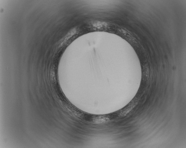 X0000067510754200605051829