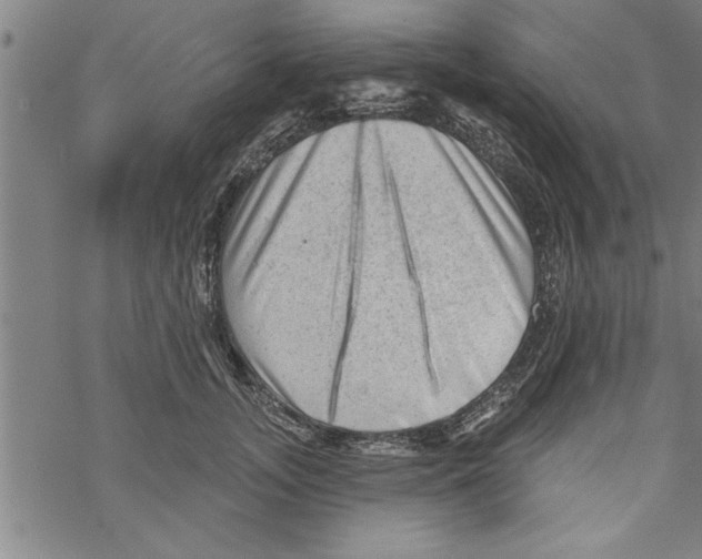 X0000067510755200605051829