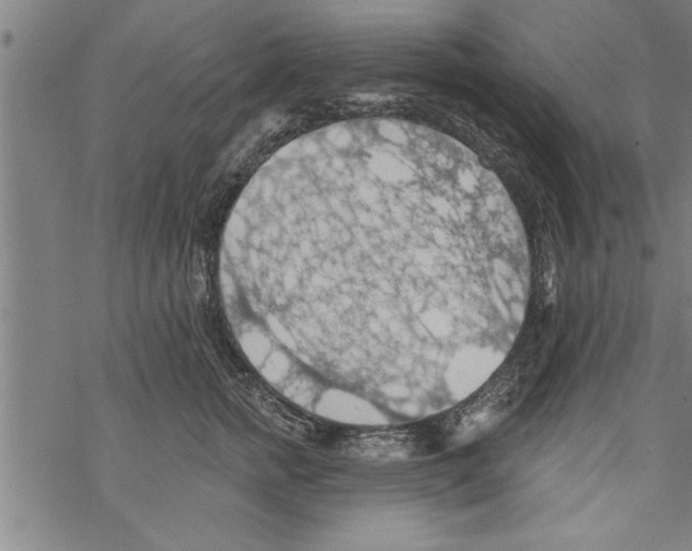 X0000067510758200605051829