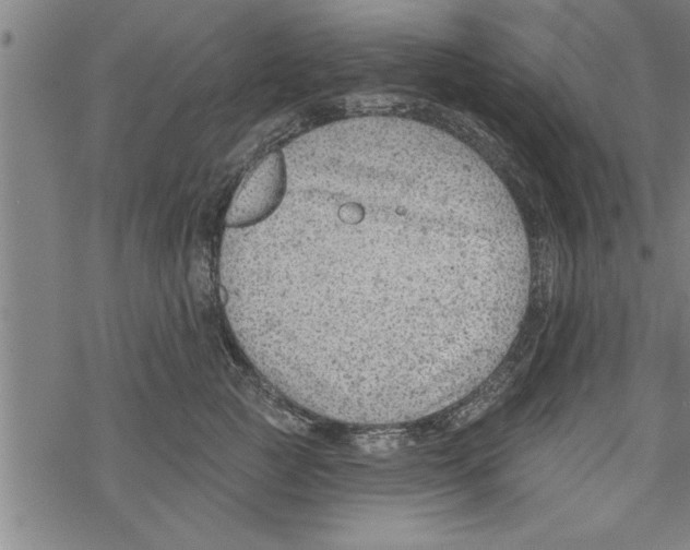 X0000067510761200605051829