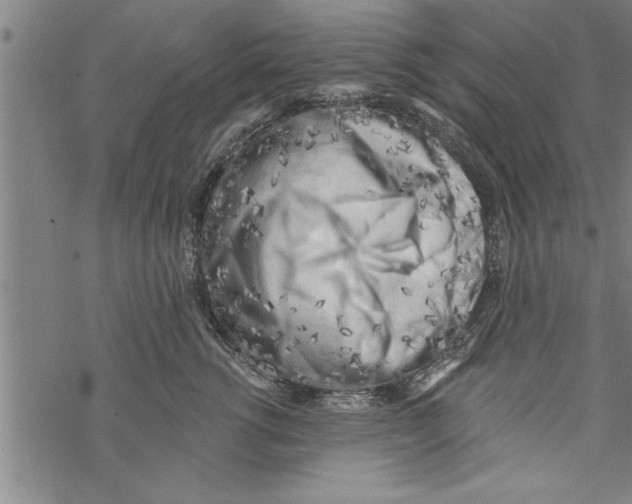 X0000067510762200605051829