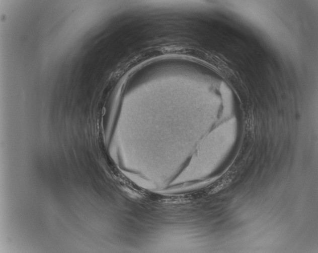 X0000067510763200605051829