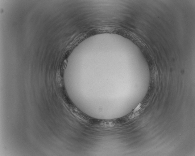 X0000067510764200605051829