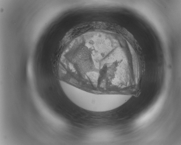 X0000067510765200605051829