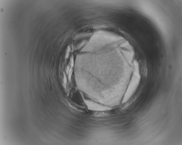 X0000067510766200605051829