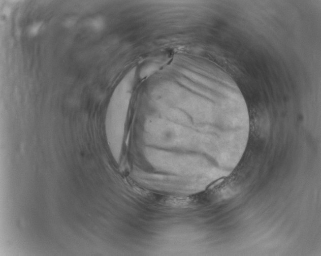 X0000067510767200605051829