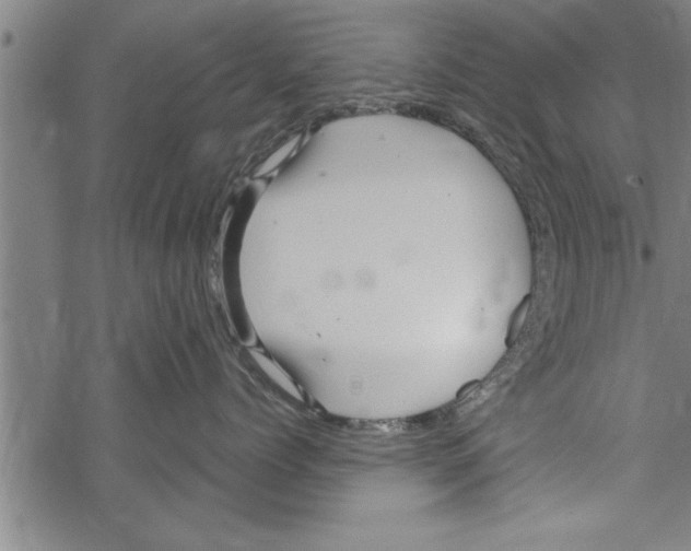 X0000067510768200605051829