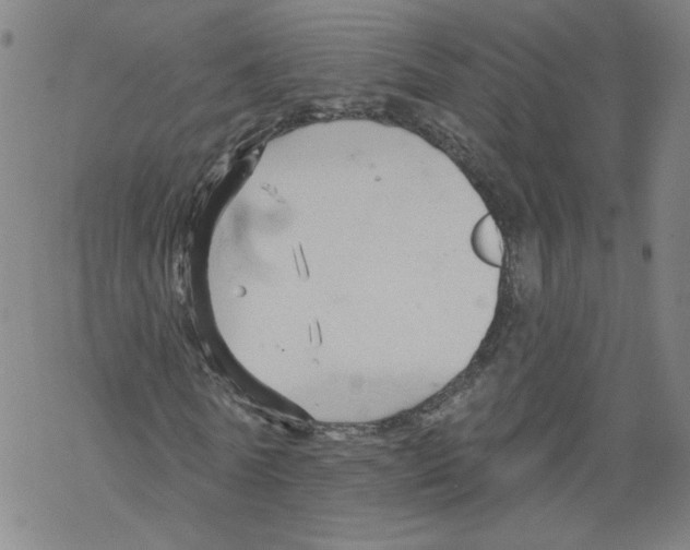 X0000067510770200605051828